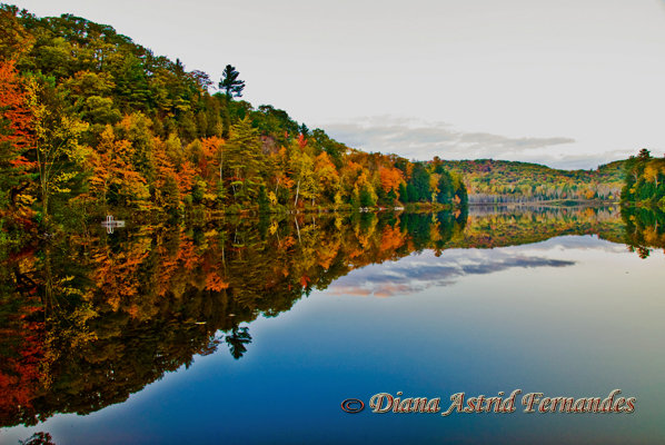 Fall-Reflections-Algonquin-Park-Ontario-Canada